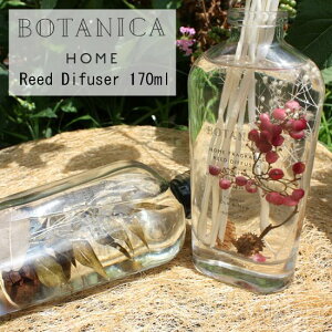 {^jJ [hfBt[U[ BOTANICA Reed Diffuser 170ml[S4]yI[hAhj[ OLD & NEWz fBt[U[ x[ VgX n[o [Y hCt[  F V Q 