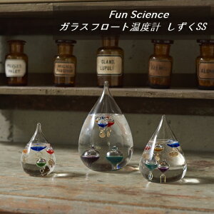 KXt[gxv SSyJYƁz333212 t@TCGX KI CeA IV Vv KX ̓ ̓ Mtg bsO j ~  C w ~ 