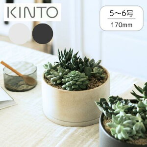 y[J[񂹁zvg|bg170mmyLg[ KINTOz 5 6 A T{e A ϗtA  A    IV ₵ Vv  V CeA A