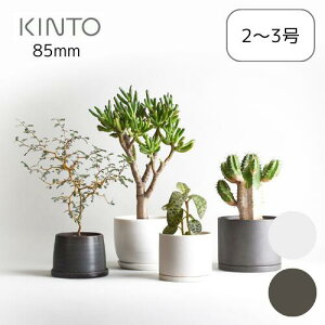 y[J[񂹁zvg|bg85mmyLg[ KINTOz ϗtA  A    IV ₵ Vv  2 3 |bg V CeA G Aւ ݂艺 