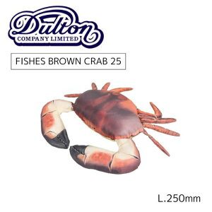 y[J[񂹁zFISHES BROWN CRAB25y_g DULTONztBbV[YuENu y-0515  ނʂ   a Mtg \tg  傫 C  C a ObY T