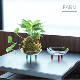 モスボールトレイ5【バージ FARM】植木鉢 鉢 サボテン 観葉植物 ナチュラル 栽培 日本製 グリーン スタンド付き 植物 底穴なし植木鉢 モダン 飾り 置き物 ガーデン 苔玉 鉢置き お花 家庭菜園 ガラス 透明