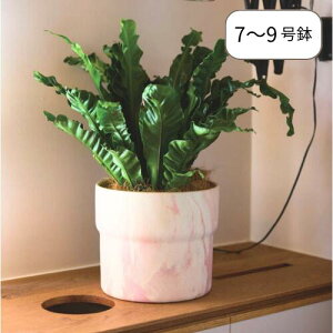 y[J[񂹁zfB^yo[W FARMzAؔ  T{e ϗtA i` ͔| { O[ X^ht A ꌊȂ Aؔ _  u K[f   9 