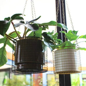 ハンギングワイヤーバスケット【バージ FARM】植木鉢 鉢 サボテン 観葉植物 ナチュラル 栽培 グリーン スタンド付き 植物 飾り 置き物 ガーデン ハンギング 窓際 吊るす ゴールド ブラック ナ
