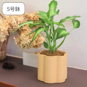 y[J[񂹁z~VF14yo[W FARMzAؔ  T{e ϗtA i` ͔| O[ A ꌊȂAؔ  u K[f ΂ CG[ zCg 킢 