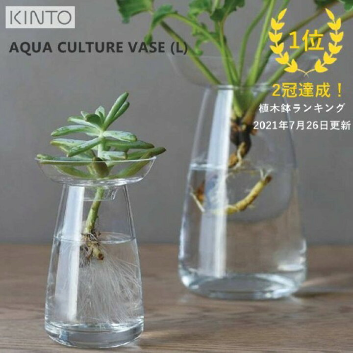 楽天市場 土日は全品p10倍 あす楽 Aqua Culture Vase L アクアカルチャーベース ｌ キントー Kinto 水耕栽培 水栽培 多肉植物 ヒヤシンス 花器 フラワーベース 北欧 オシャレ ガラス 花瓶 敬老 おうちじかん 母の日 冬 クリスマス ラッピング無料 Z
