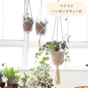 y[J[񂹁z}NnMO|bgDyNG Creerz91830008JtF JtFG  hCt[  nMOnK[ ϗtA A ƍ͔| Ǝ Jȕ