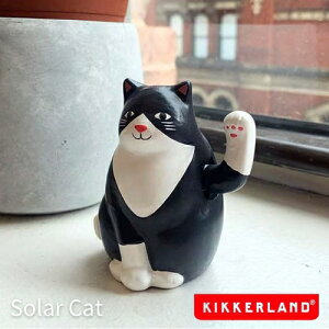 Solar CatyDETAIL fBe[zIuWF u L   k  G   ~j k1621 \[[Lbg L l` z CeA  Q rO KIKKERLAND  킢 