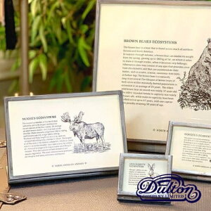 y[J[񂹁zMETAL FRAME 10y_g DULTONz ^t[ K955126310 ʐ^ tHgt[ Vv  CeA  re[W L j[ vCX X A