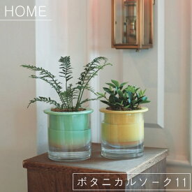 HOME ボタニカルソーク11【バージ FARM】植木鉢 鉢 サボテン 観葉植物 ナチュラル 栽培 日本製 グリーン 植物 底穴なし植木鉢 モダン ガラス鉢 飾り 置き物 ガーデン(z)