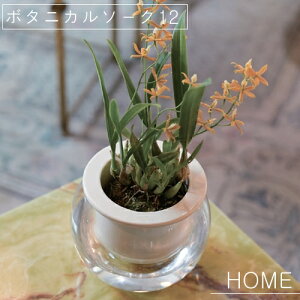 y[J[񂹁zHOME {^jJ\[N12yo[W FARMzAؔ  T{e ϗtA i` ͔| { O[ A ꌊȂAؔ _ KX  u K[f ۂ 