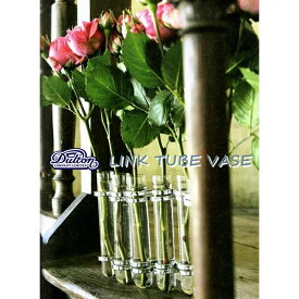 リンクチューブベース Link Tube Vase [Gold・Silver]【ダルトン DULTON】試験管 一輪挿し 花瓶 母の日 フラワーベース 15x2.5cmx9本