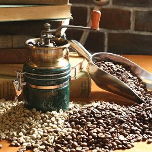y[J[񂹁zCOFFEE MILL TERRAy_g DULTONzR[q[~ e OC_[   Z~bN Lb`  JtF Vv AeB[N