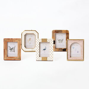 Ebh&uX&{[~jtHgt[ ʐ^  킢 CeAG  u^ ky񂩂z(t)