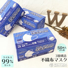 不織布マスク 50枚 在庫あり 楽天 サージカルマスク 医療用と同素材 3層構造 高密度フィルター ウイルス99%カット 白 ホワイト ウイルス対策 PM2.5 使い捨てマスク ふつうサイズ 大人用 使い捨て 花粉症 ほこり