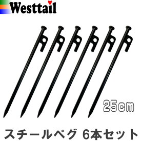 ペグ 25cm 6本セット スチール テント タープ アウトドア キャンプ 錆びにくい 高強度鋼材