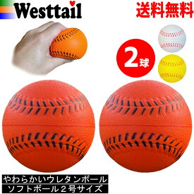 ソフトボール 2号サイズ 柔らかい ポリウレタンボール 2球 ベースボール5 ボール遊び キャッチボール 練習