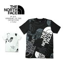 THE NORTH FACE(ノースフェイス) M SS GI TEE [NF0A7UOK] GRAPHIC INJECTION TEE 半袖T ロゴ アウトドア ストリート 海外USモデル【\7,480】【RCP】