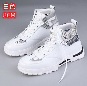 Y Xj[J[ JWAV[Y {v  6/8cmUP wȂ gup V[NbgV[Y l w ʊw ʋ d ₷ y L y NbV  Y 