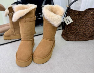 [gu[c {v E[ C fB[X Xm[u[c O ~hu[c ӂӂ  t@[u[c N {A tbgV[Y ₷ ₷ h h ʊw 