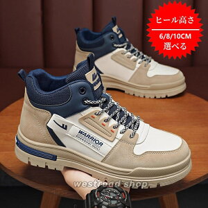 V[NbgV[Y Y nCJbgXXj[J[ gAbv 6CM 8CM 10CM upw Xj[J[ Cq[ K L ʋC tďH l w ʋ ʊw  JWA