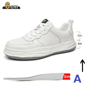 Xj[J[ Y  {v V[Y Cq[  6/8cmgUP ₷ Ռz ɂ JWAV[Y ʋ ʊw jO Y Xj[J[  JWA g