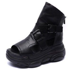 OfBG[^[T_ u[cT_ fB[X V[Y {v y C nCJbg T_ I[vgDT_ obNt@Xi[ AEghA X|[cT_ ~ 