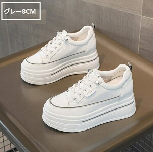 Xj[J[ fB[X ₷ [Jbg Cq[Xj[J[  Xj[J[  [XAbv V[Y r Vv 8.5Z` X|[c JWAV[Y o ʋ 