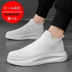 jbgV[Y [t@[ Xj[J[ Y Xb| 6cm/8cm gAbv wȂ  [Jbg Xj[J[ Cq[ WMO X|[c jO ^C V[NbgV