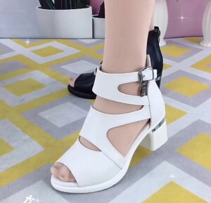 T_ fB[X I[vgE 5cmq[ xg T_ `L[q[ pvX OfBG[^[ obNWbp[ ₷ ₷ Ȃ T_  l _