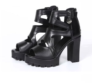 T_ fB[X I[vgE 5cmq[ xg T_ `L[q[ pvX OfBG[^[ obNWbp[ ₷ ₷ Ȃ T_  l _