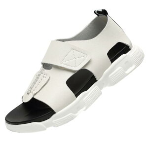 �y���������z�T���_�� �����Y �{�v �X�|�[�c�T���_�� �r�[�`�V���[�Y �������p �C �� �� �h�� �y�� �Ռ��z�� ���ɂ��� �A�E�g�h�A �ʋ� �ʊw �ėp �����Y�t�@�b�V����