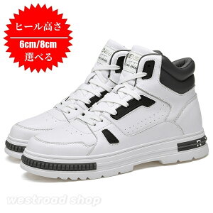 nCJbgXj[J[ Y tbg gAbv 6cm/ 8cm ₷ JWA X|[c ^ Vv _炩 RtH[g V[NbgV[Y ~ 芴 d ʋ 