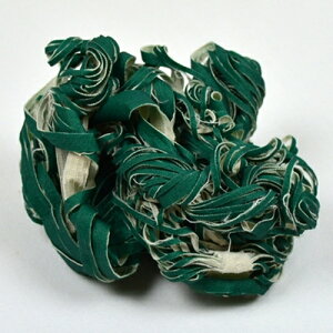 y{Ki 13܂œoׁz܂炸 sJiz킵j@ubVNtg