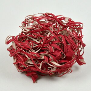 y{Ki 13܂œoׁz܂炸 sJiz킵j@ubVNtg