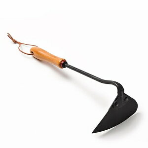 y{Ki 13܂œoׁzvVVz[@BAREBONESixA{[Yj