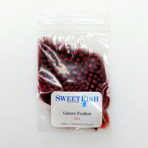 �y���{���K�i 13���܂œ����o�ׁz�M�j�A�t�F�U�[ ���b�h�@SWEETFISH�i�X�E�B�[�g�t�B�b�V���j