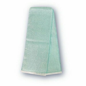 y{Ki 13܂œoׁzEco de N[ pCN[}t[@JOGANiWEKj