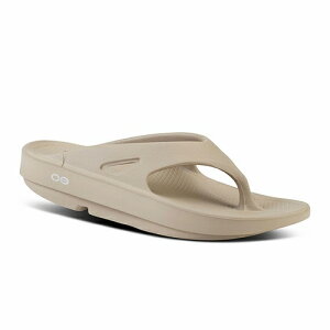 y{Ki 13܂œoׁzOOriginal@OOFOSiE[tHXjE[IWi