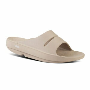 y{Ki 13܂œoׁzOOahh@OOFOSiE[tHXjE[A[