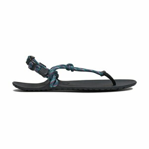 �y���{���K�i 13���܂œ����o�ׁz�W�F�l�V�X�@Xero Shoes�i�[���V���[�Y�j