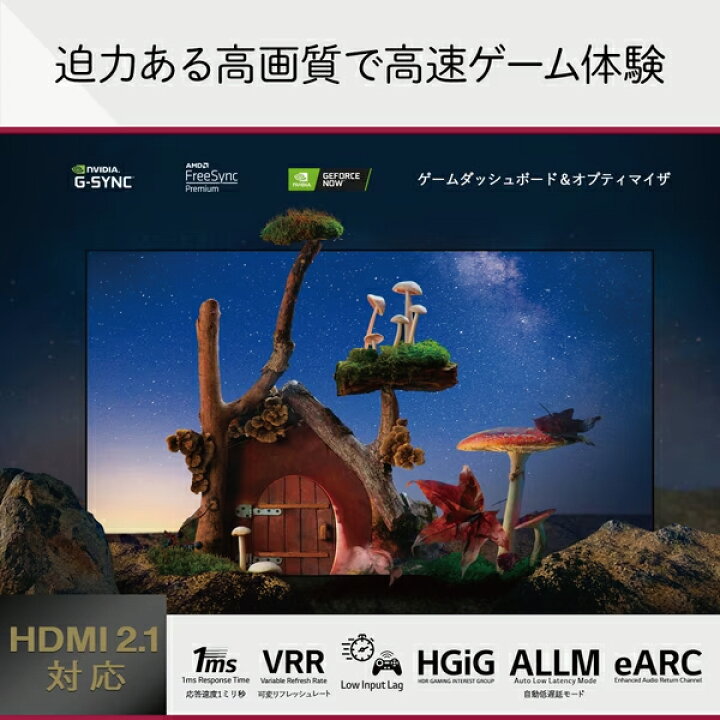 楽天市場】LG 55V型 有機EL液晶テレビ OLED55B2PJA 55V型 4Kチューナー 