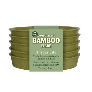 y߂₷Ȃ܂IzCMX Haxnicks |󂯎M M 7.5cm 5Zbg ou[\[T[  Aؔp󂯎M Bamboo Saucer
