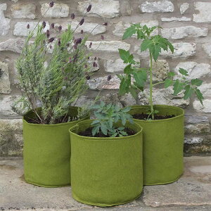 CMXHAXNICKSЂ̃GAv[jO@vgobO@@ېv^[@10Lx3Zbg