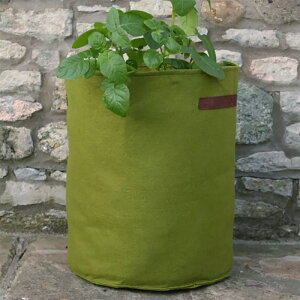 CMXHAXNICKSЂ̃GAv[jO@vgobO@@ېv^[@Potato/Tomato Planter@|egEg}gv^[
