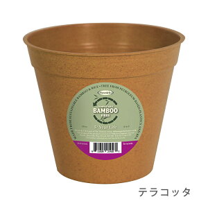 y߂₷Ȃ܂IzCMX Haxnicks |Aؔ 20cm ou[|bg  GR|bg Bamboo Pot 200mm
