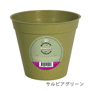 �C�M���X Haxnicks�� �|���A�ؔ� 20cm �o���u�[�|�b�g ������ �G�R�|�b�g Bamboo Pot 200mm