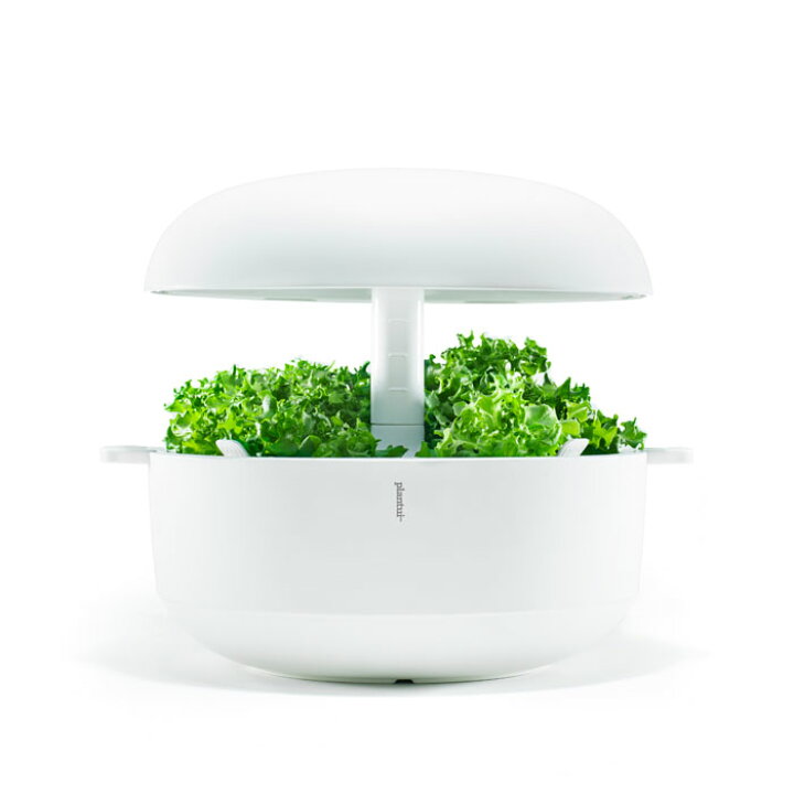 楽天市場】【アウトレット品80％OFF】Plantui 6 北欧フィンランドの水  