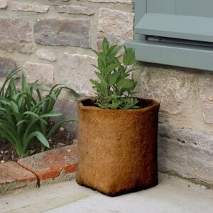 CMXHAXNICKSЁ@߂閃v^[@5L@Jo[@𐫁@Hemp Fibre Pot 5L