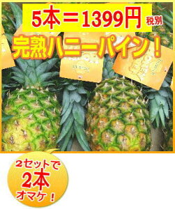 パイン パイナップルの人気商品 通販 価格比較 価格 Com パイン パイナップルの人気商品 通販 価格比較 価格 Com